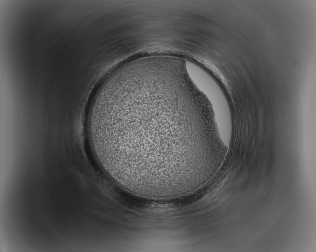 X0000096700487200802191451