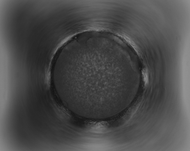 X0000096700488200802191451