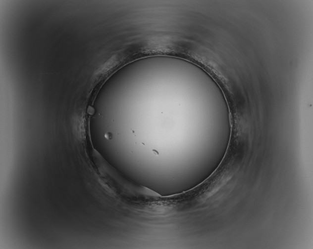 X0000096700489200802191451