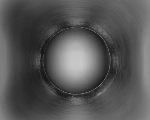X0000096700490200802191451