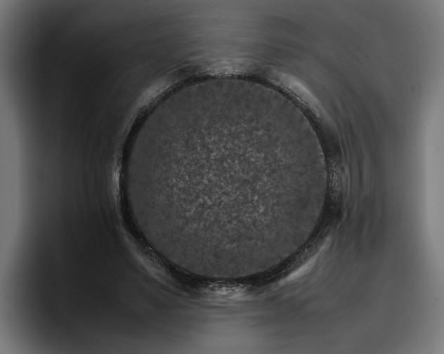 X0000096700491200802191451
