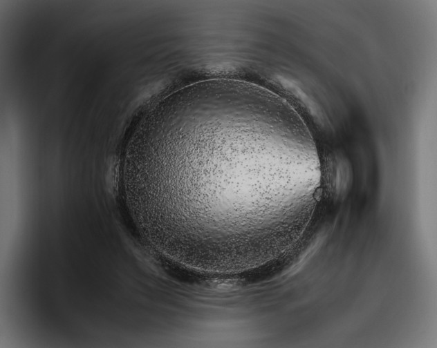 X0000096700495200802191451