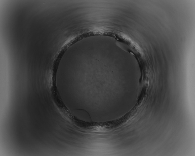 X0000096700496200802191451