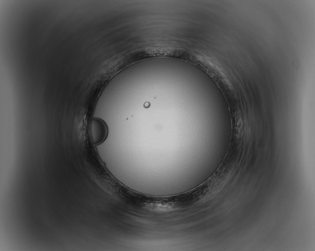 X0000096700498200802191451