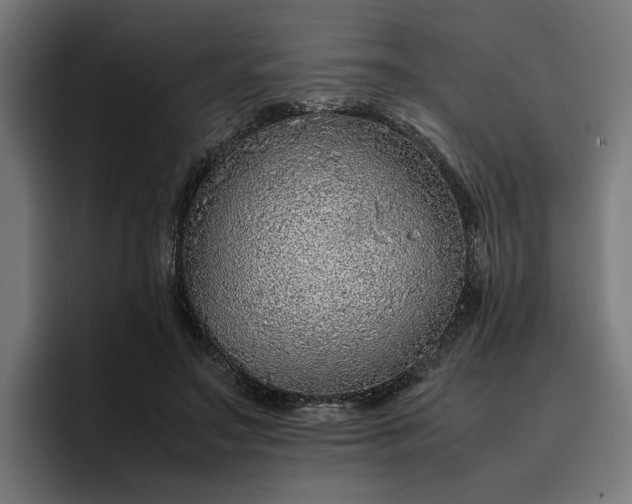 X0000096700499200802191451