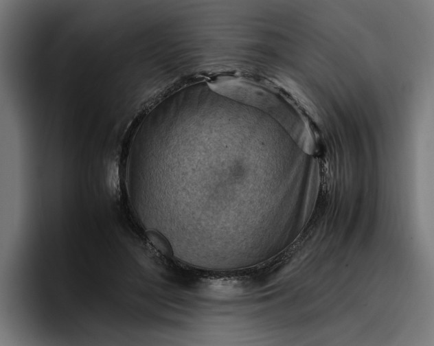 X0000096700500200802191451
