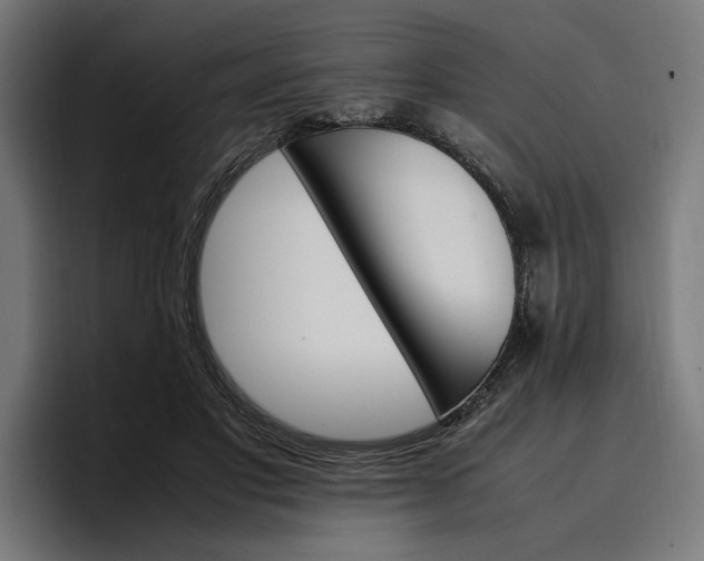 X0000096700501200802191451