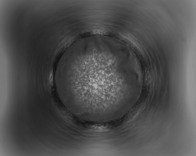 X0000096700502200802191451