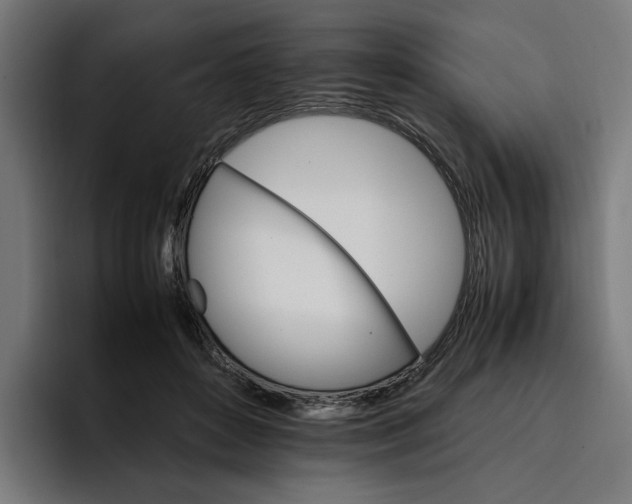 X0000096700504200802191451