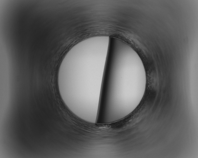 X0000096700505200802191451