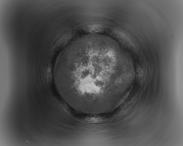 X0000096700506200802191451