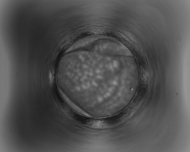 X0000096700507200802191451