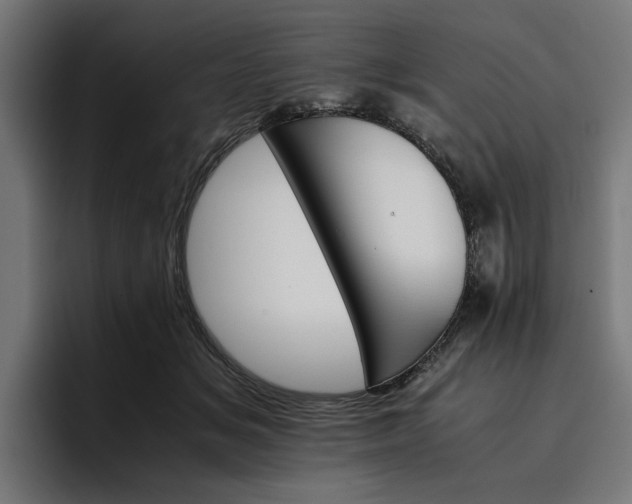 X0000096700509200802191451