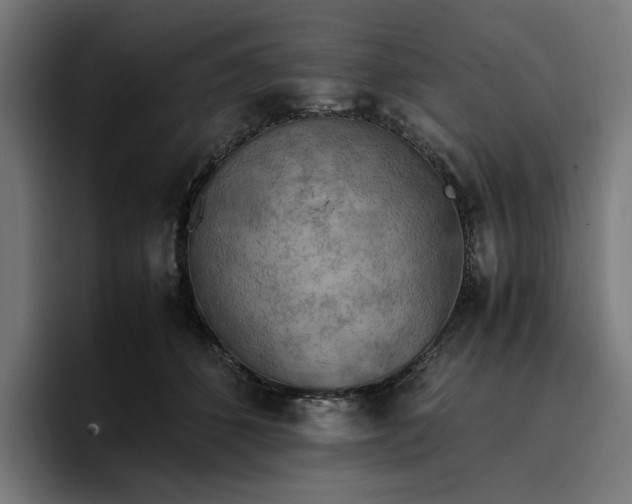 X0000096700512200802191451