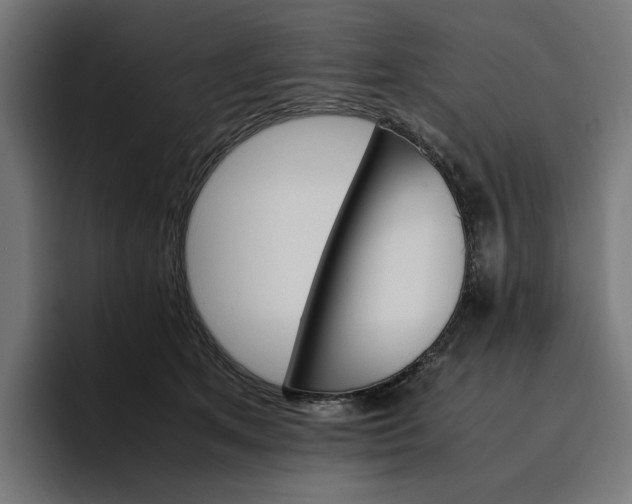 X0000096700513200802191451