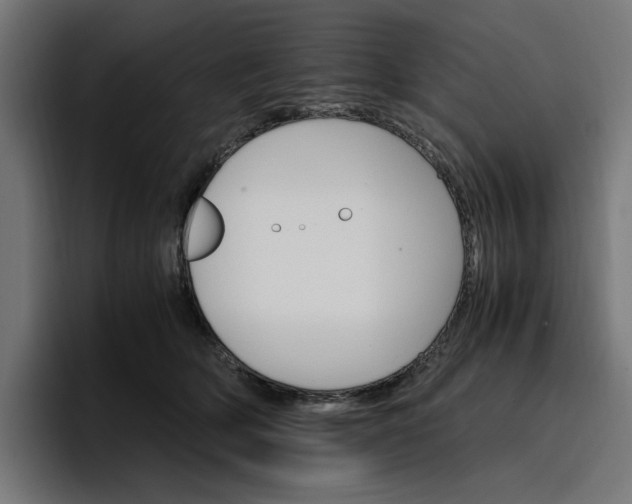 X0000096700514200802191451