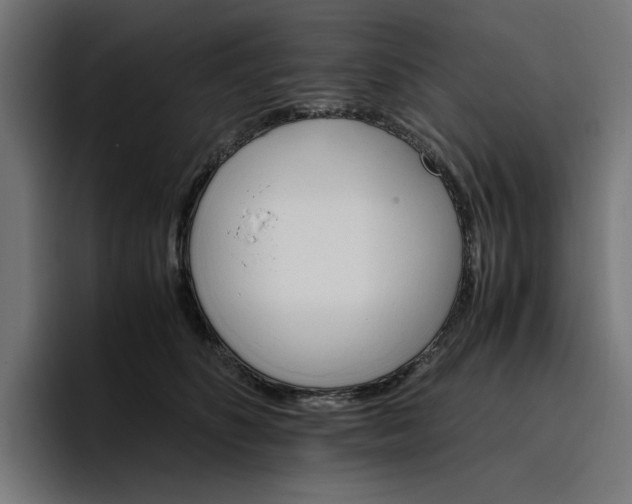 X0000096700516200802191451