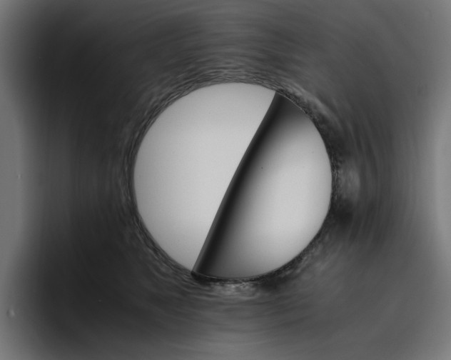 X0000096700517200802191451