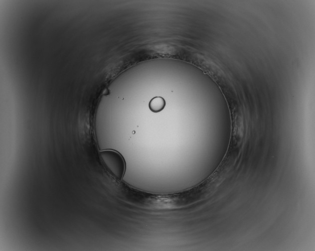 X0000096700518200802191451