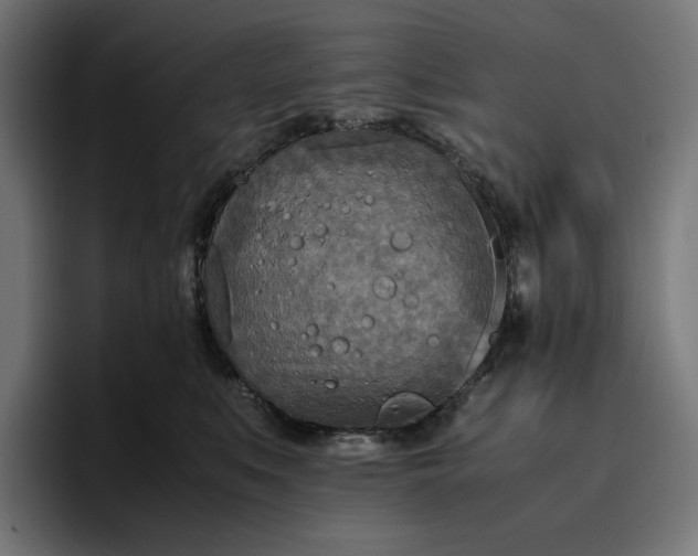 X0000096700519200802191451