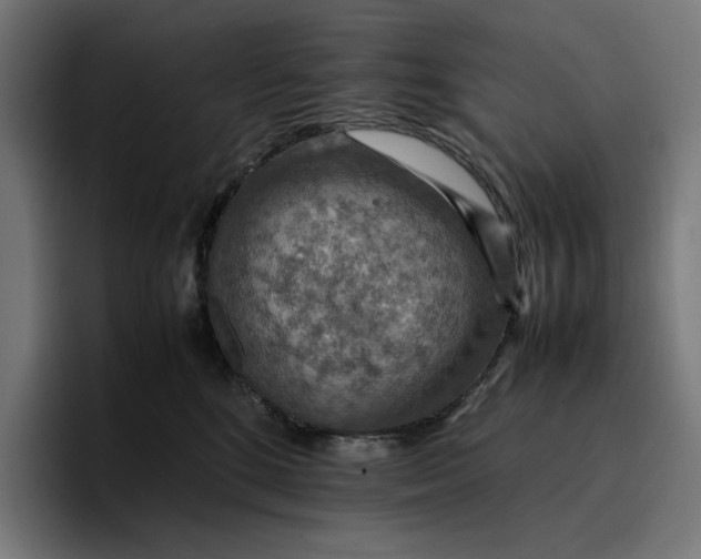 X0000096700520200802191451