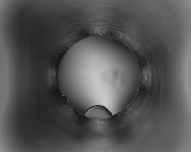 X0000096700522200802191451