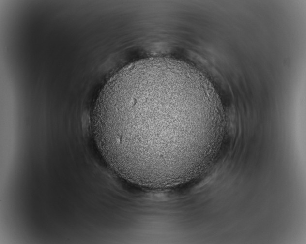 X0000096700523200802191451