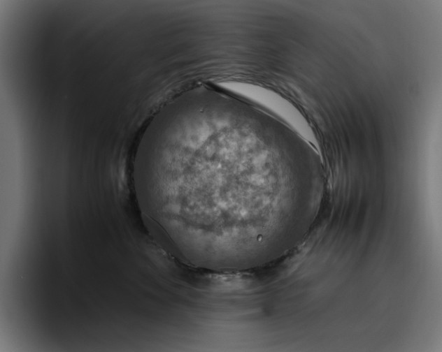 X0000096700524200802191451