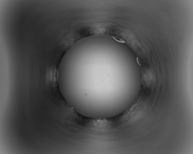 X0000096700525200802191451