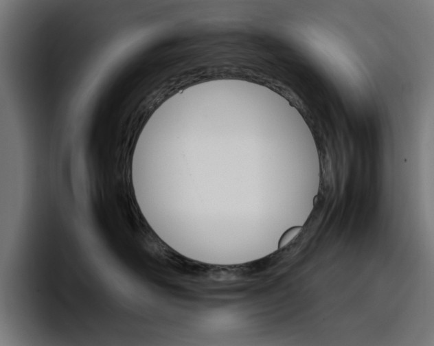 X0000096700526200802191451