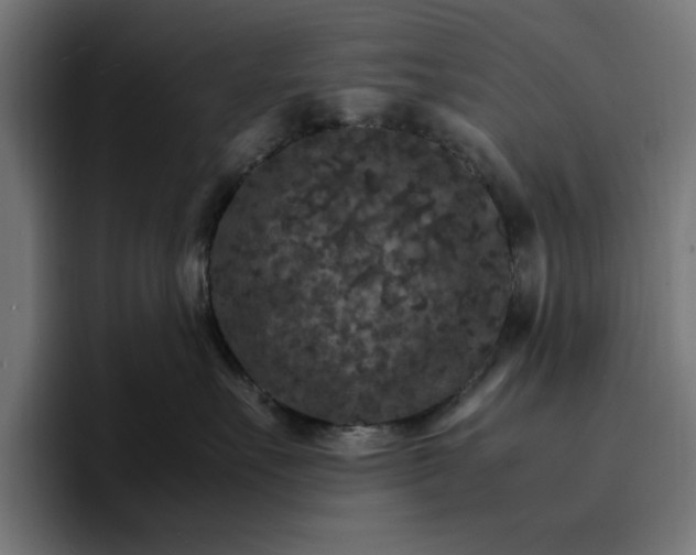 X0000096700527200802191451