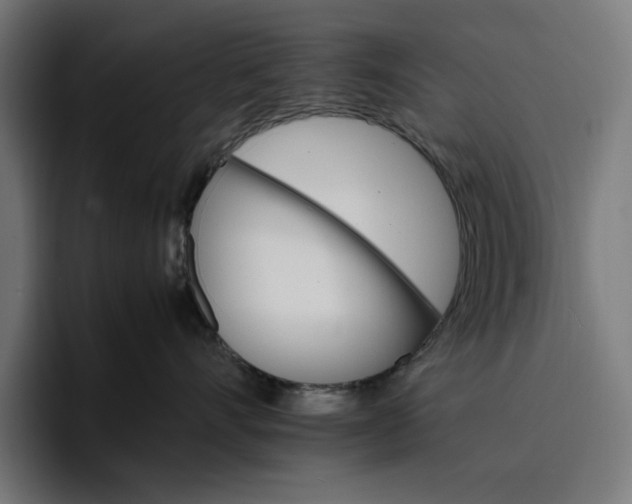 X0000096700528200802191451
