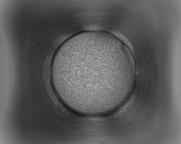 X0000096700529200802191450