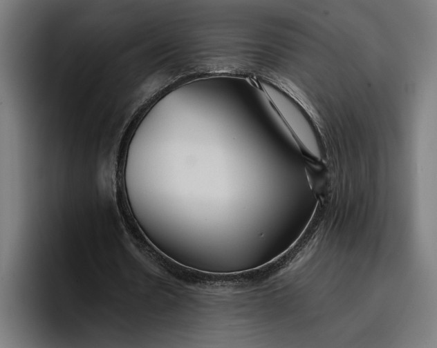 X0000096700530200802191450