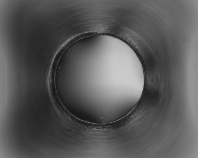 X0000096700532200802191450