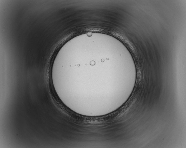 X0000096700533200802191450