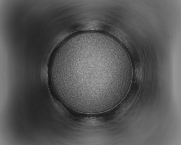 X0000096700534200802191450