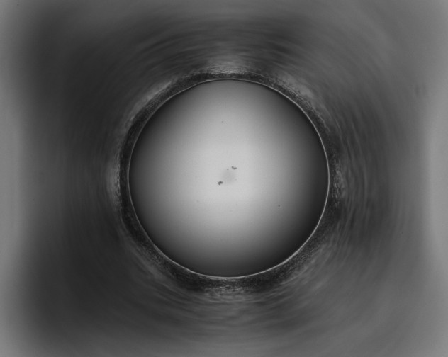 X0000096700535200802191450