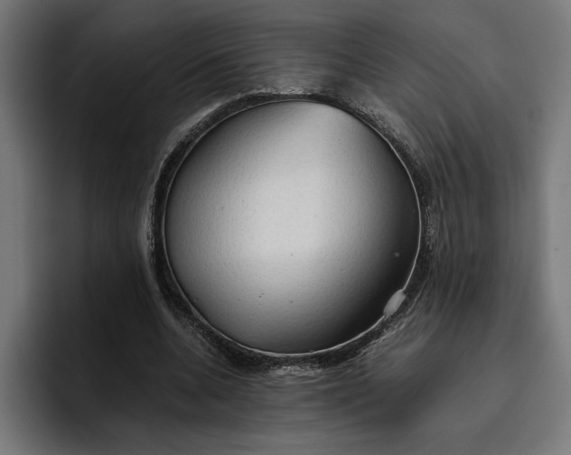X0000096700536200802191450