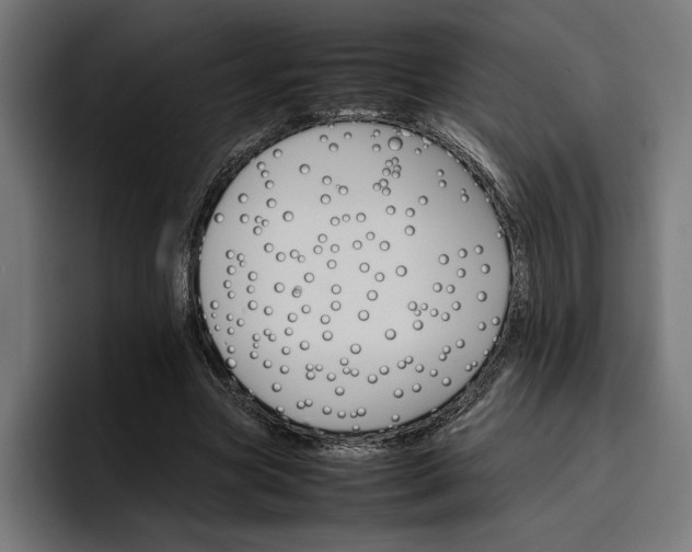 X0000096700537200802191450