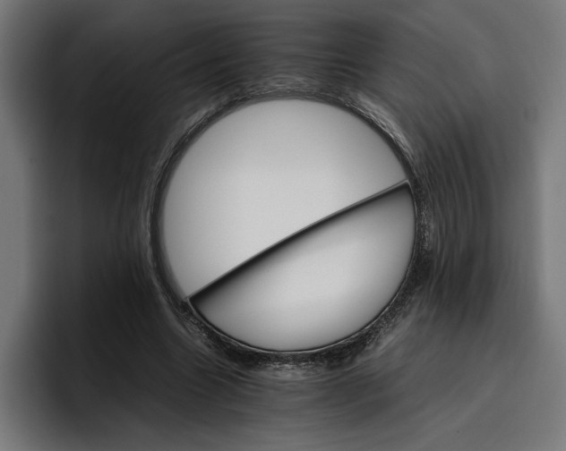 X0000096700538200802191450