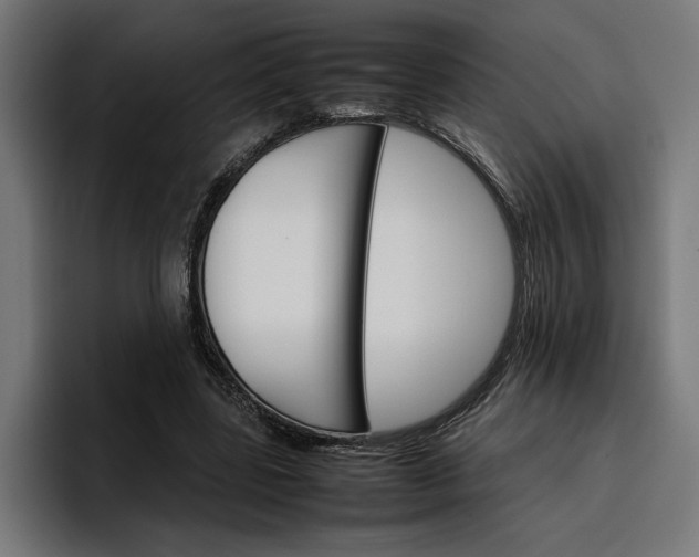 X0000096700539200802191450