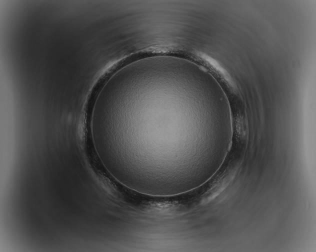 X0000096700540200802191450
