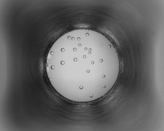 X0000096700541200802191450