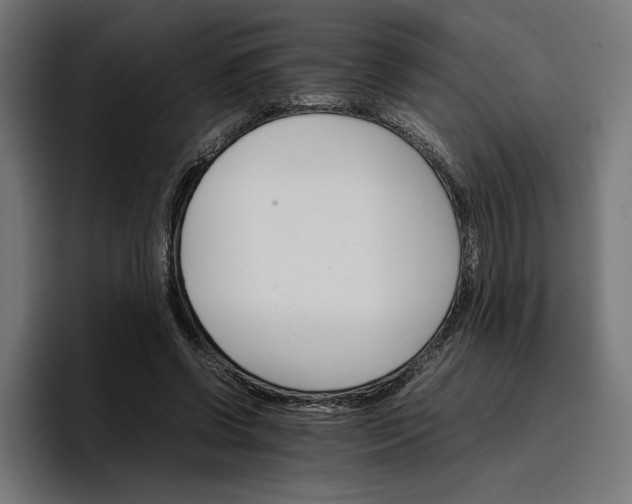 X0000096700542200802191450