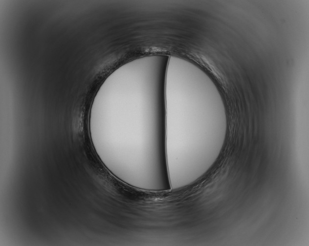 X0000096700543200802191450