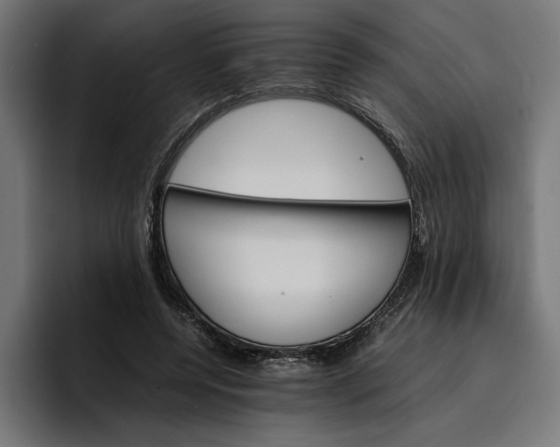 X0000096700544200802191450