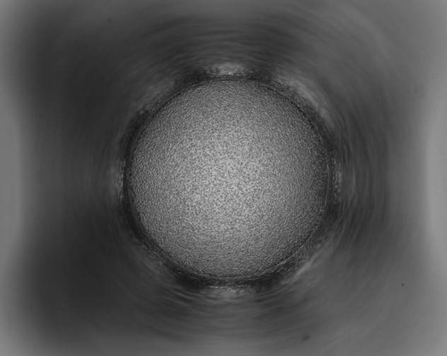 X0000096700545200802191450