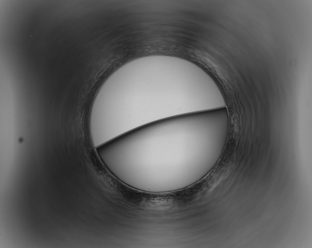 X0000096700546200802191450