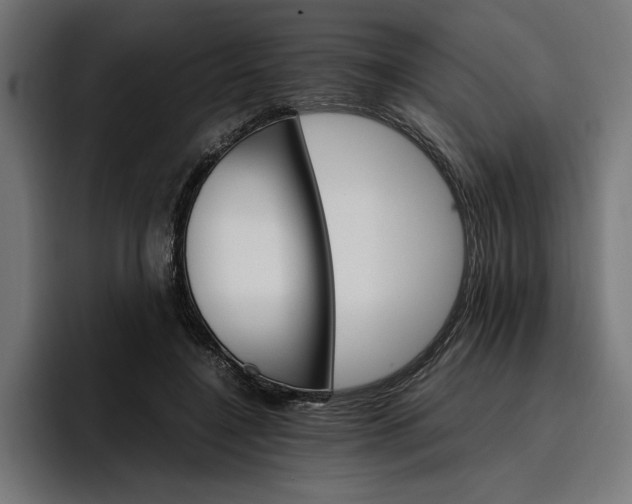 X0000096700548200802191450